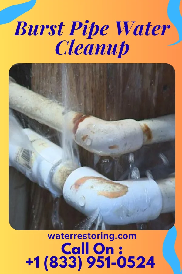Burst Pipe Water Cleanup in Willowbrook, IL