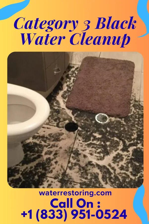 Category 3 Black Water Cleanup in Willowbrook, IL