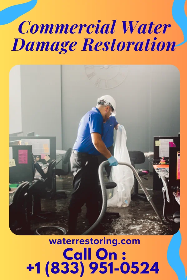 Commercial Water Damage Restoration in Willowbrook, IL