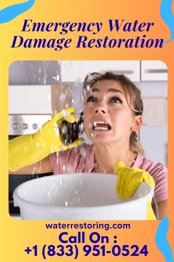 Emergency Water Damage Restoration in Willowbrook, IL