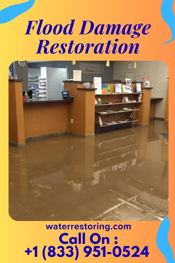 Flood Damage Restoration in Willowbrook, IL
